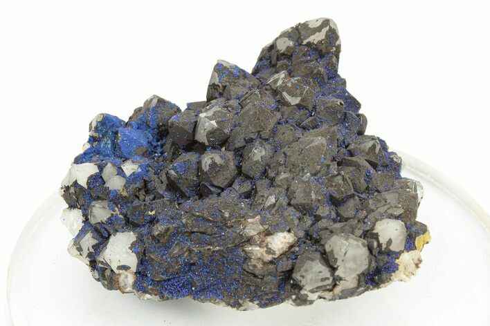 Vibrant Azurite on Quartz Crystals - China #252065